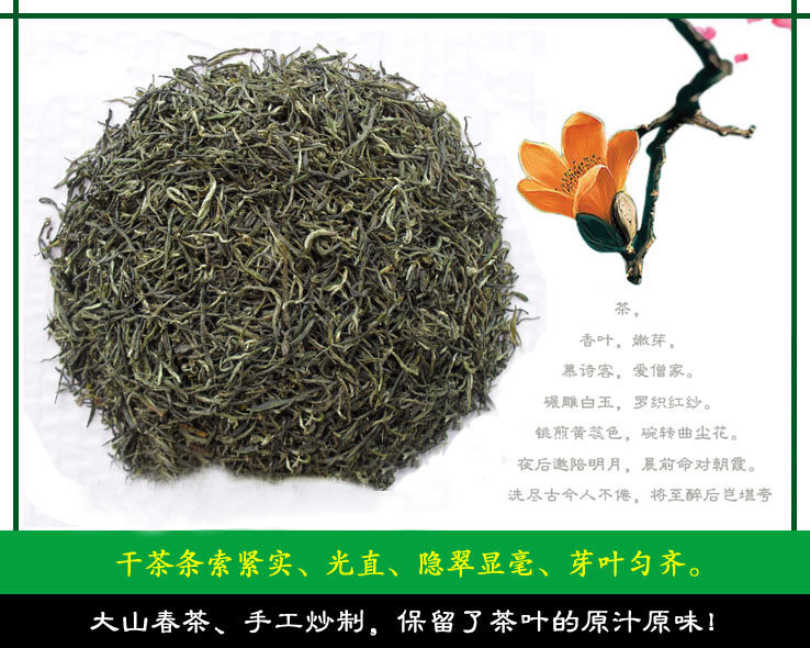 信阳毛尖