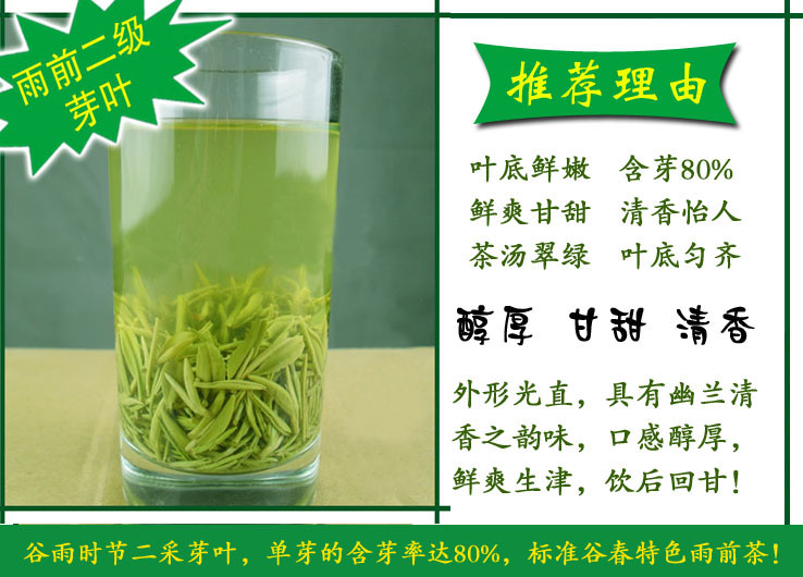信阳毛尖