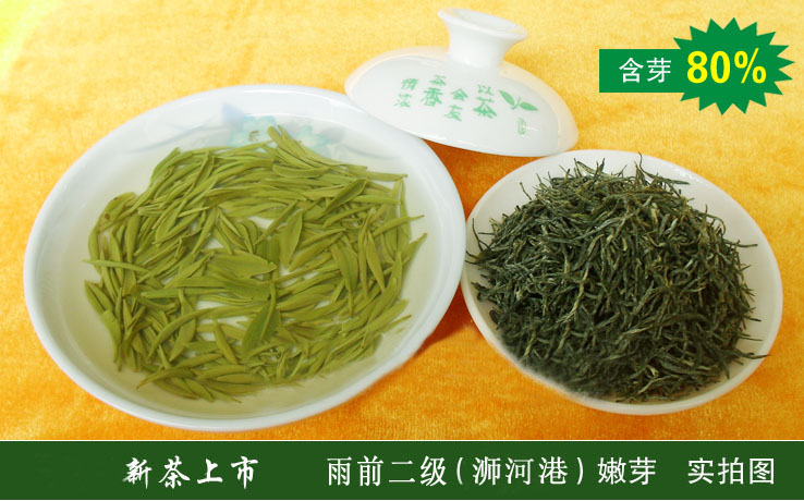 信阳毛尖