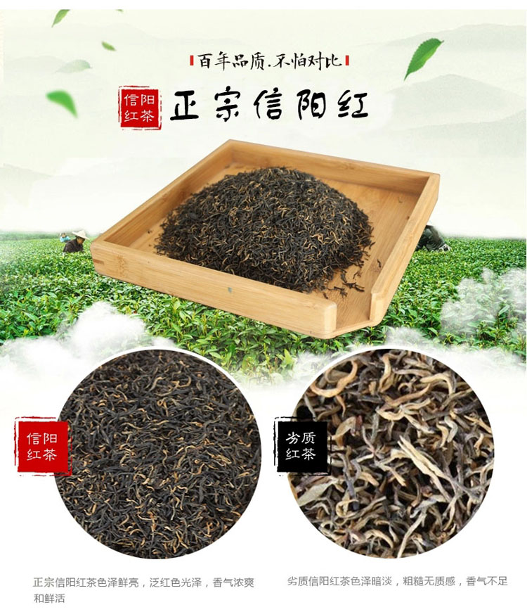 阿里云茶庄园 浉河港 2021信阳红茶特级 新茶500g浉河港茶厂直销