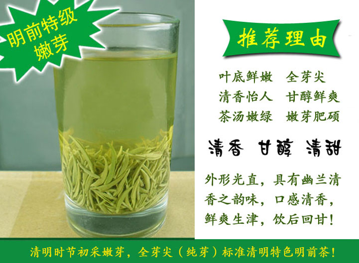 信阳毛尖