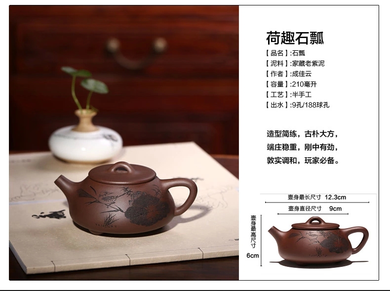 宜兴正品名家紫砂壶 全手工 手绘石瓢壶原矿紫泥茶壶茶具