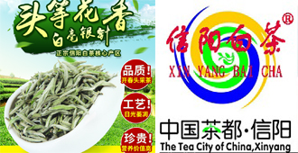 信阳白茶