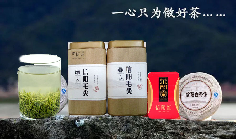 周开启茶业信阳毛尖有机茶