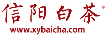 信阳白茶www.xybaicha.com