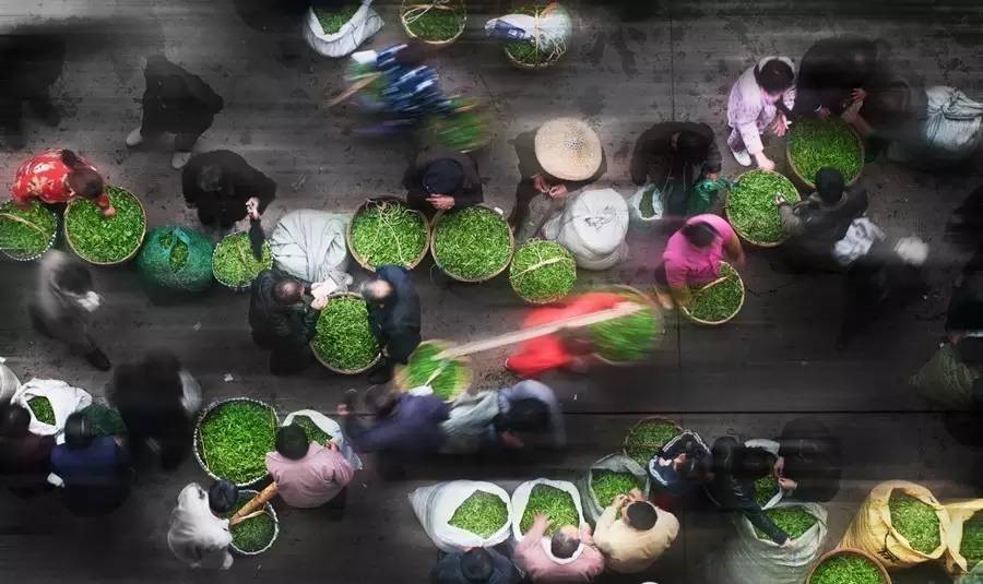 我国各省原产地茶品名录 我国各省原产地茶品名录