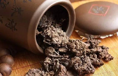 老茶头就是普洱茶的精华吗? 老茶头就是普洱茶的精华吗?