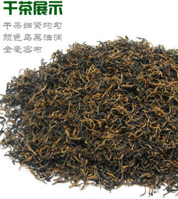 信阳红茶 信阳红茶