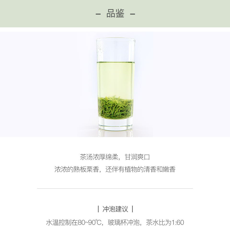信阳毛尖