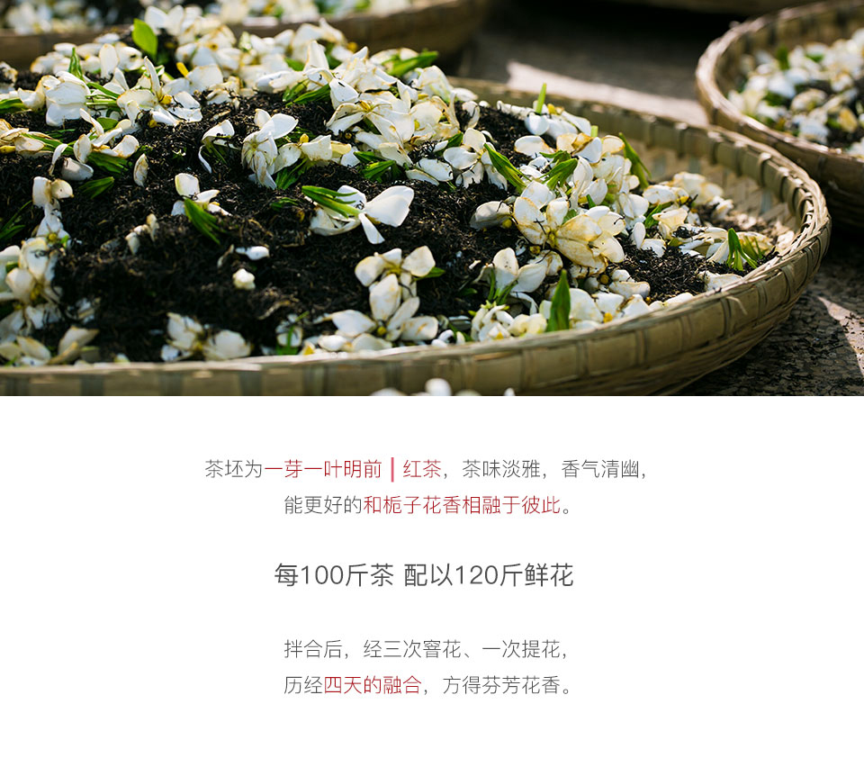 周开启制茶大师监制 | 花茶·新工艺栀子花红茶100g