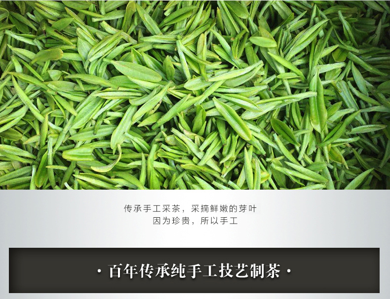 浉河港|信阳毛尖 散茶批发 2021新茶 茶叶【雨前一级】500克 浉河港茶厂