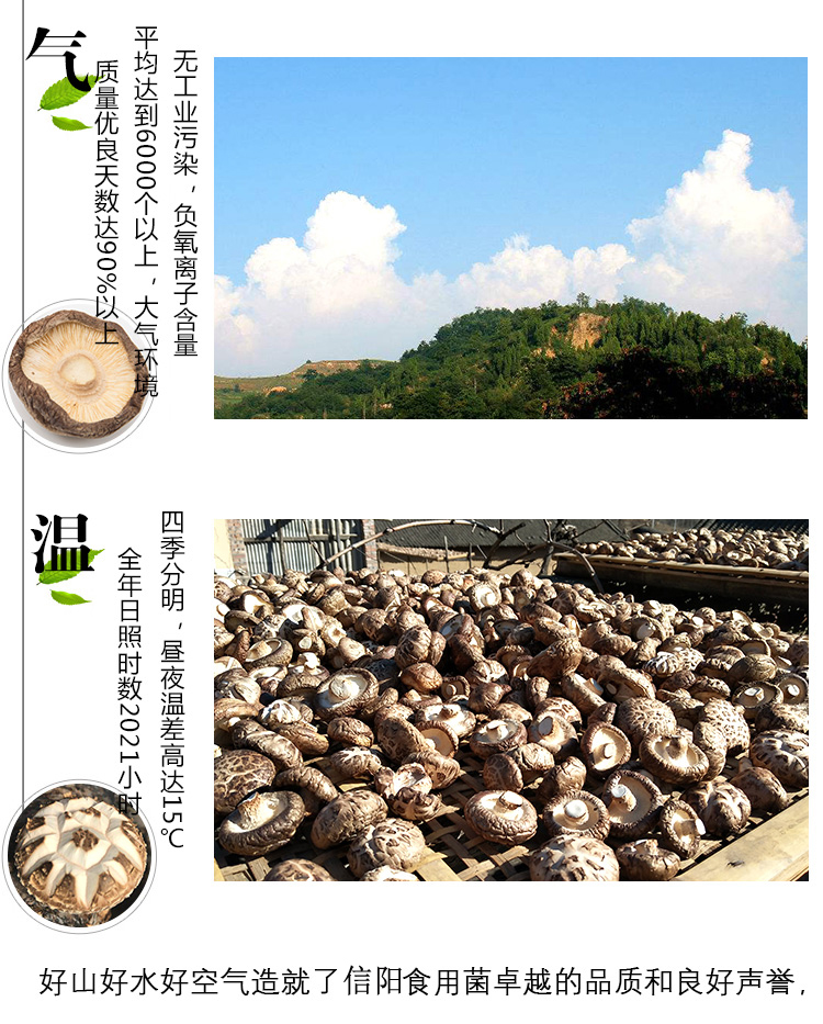 信阳特产农家花菇干货山货特级剪柄花菇冬菇蘑菇纯天然干花菇500g