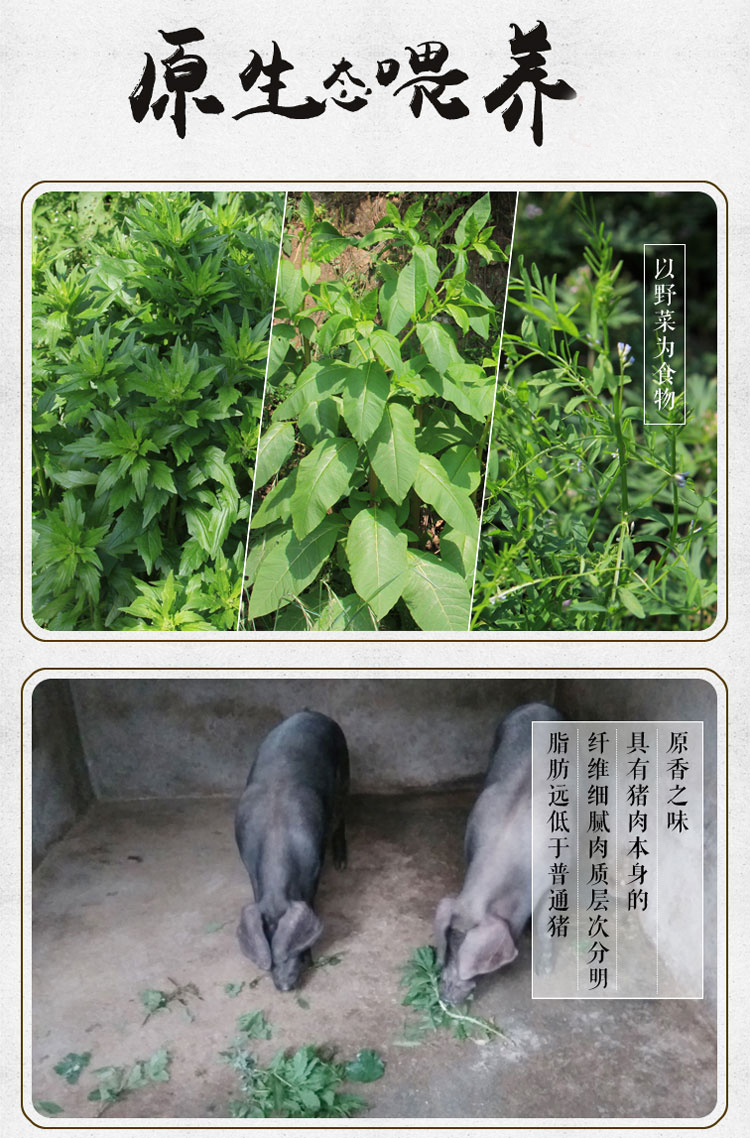 信阳特产焖罐肉体验装250g 农家黑猪肉美食腌肉熟肉类独立小包装