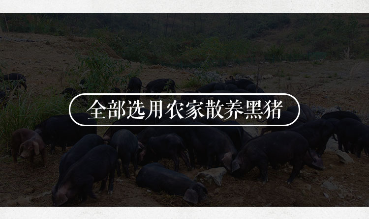 信阳特产焖罐肉体验装250g 农家黑猪肉美食腌肉熟肉类独立小包装