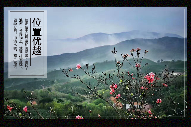野生小香菇 香菇干货500g包邮秒杀 信阳特产 农家特级干香菇散装