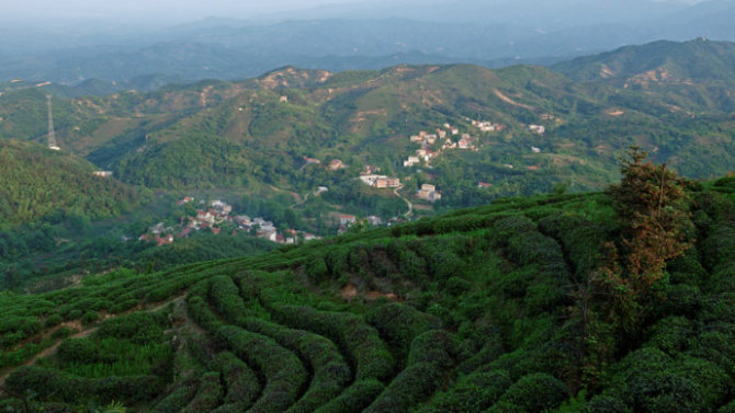 车云山村