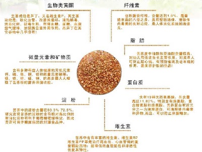 苦荞麦 苦荞麦