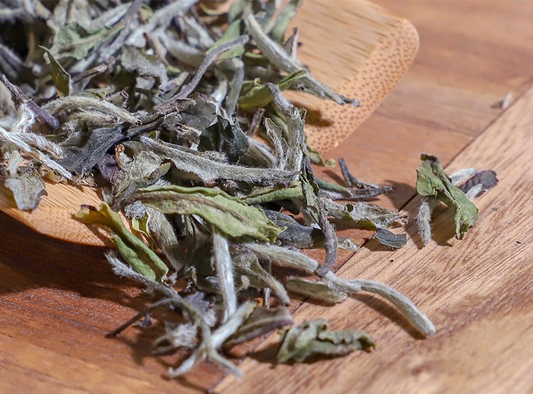 信阳白茶2025年雨前三级 一芽二叶绽琼芽 散茶批发 浉河港茶厂