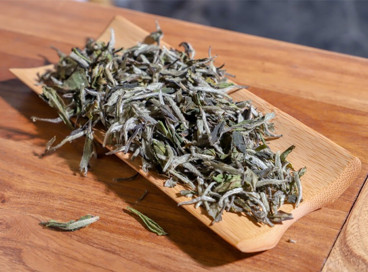 信阳白茶2025年雨前三级 一芽二叶绽琼芽 散茶批发 浉河港茶厂