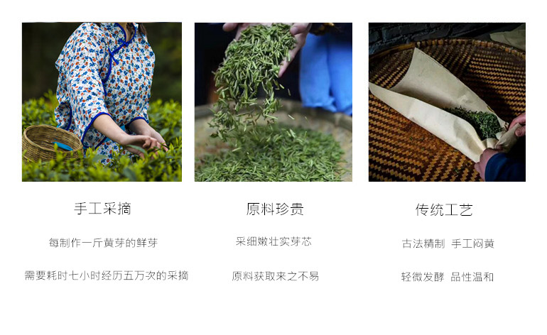 2018新茶 传统工艺 高山黄茶 明前特级信阳黄芽茶河南茶叶500g包邮