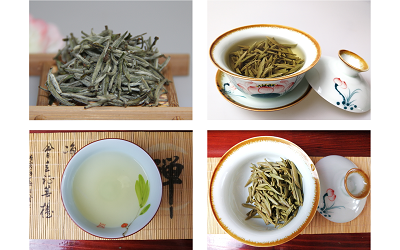 信阳白茶 信阳白茶