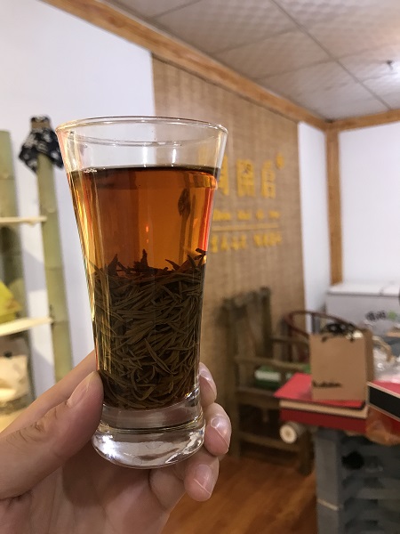 信阳红茶