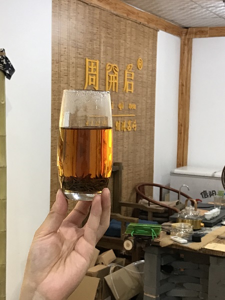 信阳红茶