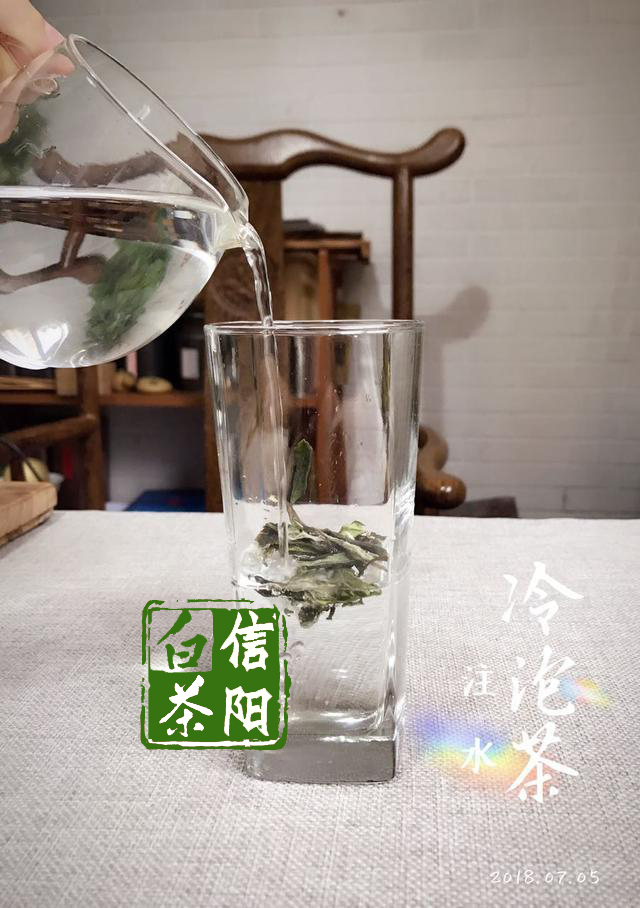 信阳白茶