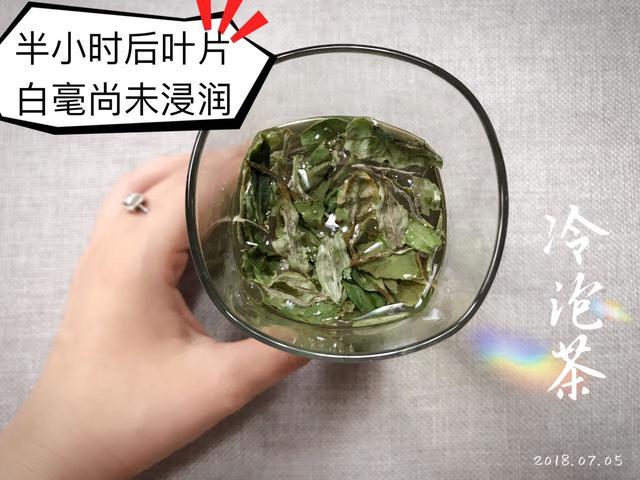 信阳白茶