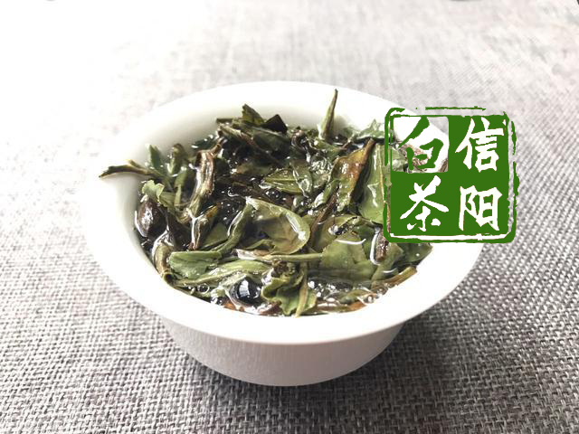 信阳白茶