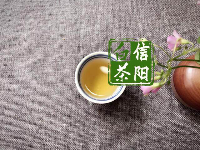 信阳白茶