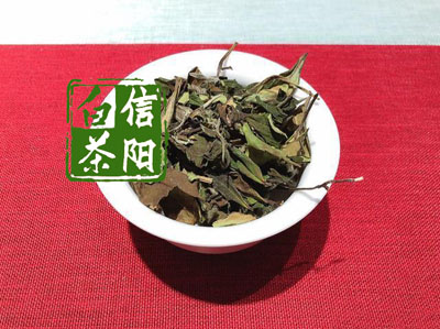 信阳白茶