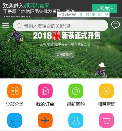 浉河港官网商城茶叶六年，让我成长成才