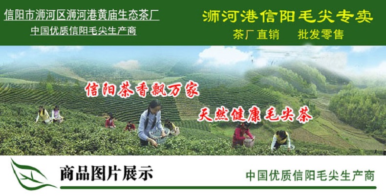 2024新茶信阳毛尖 雨前一芽二叶 新茶热卖 实惠耐泡口味重