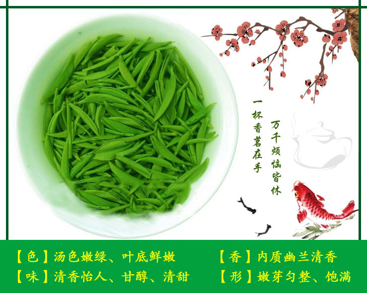 信阳毛尖2023明前一级新茶嫩芽浉河港信阳毛尖主产地茶厂直营