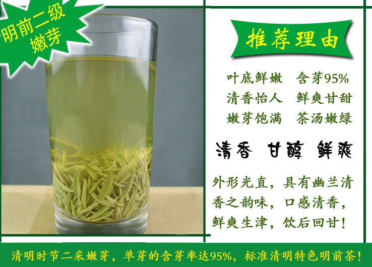 信阳毛尖明前二级2025新茶 产地茶厂批发 散装绿茶