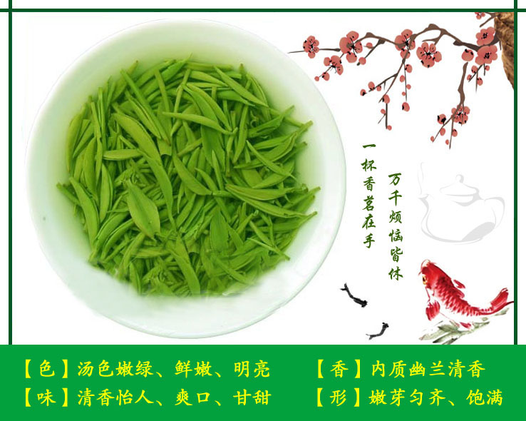 信阳毛尖明前二级2025新茶 产地茶厂批发 散装绿茶