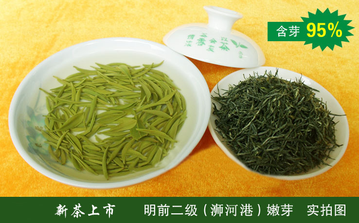 信阳毛尖明前二级2025新茶 产地茶厂批发 散装绿茶