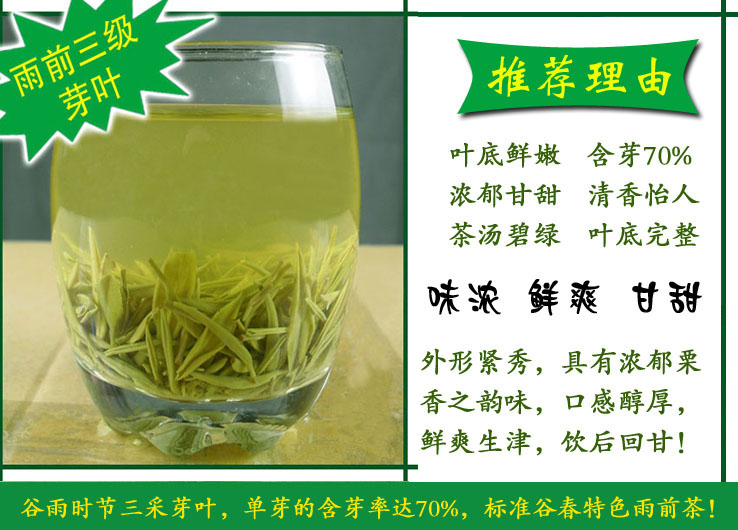 信阳毛尖2023新茶雨前三级芽叶新茶 浓香耐泡