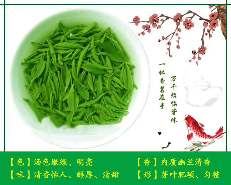 信阳毛尖2023新茶雨前三级芽叶新茶 浓香耐泡