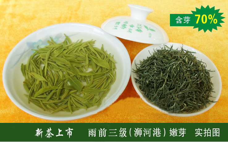 信阳毛尖2023新茶雨前三级芽叶新茶 浓香耐泡