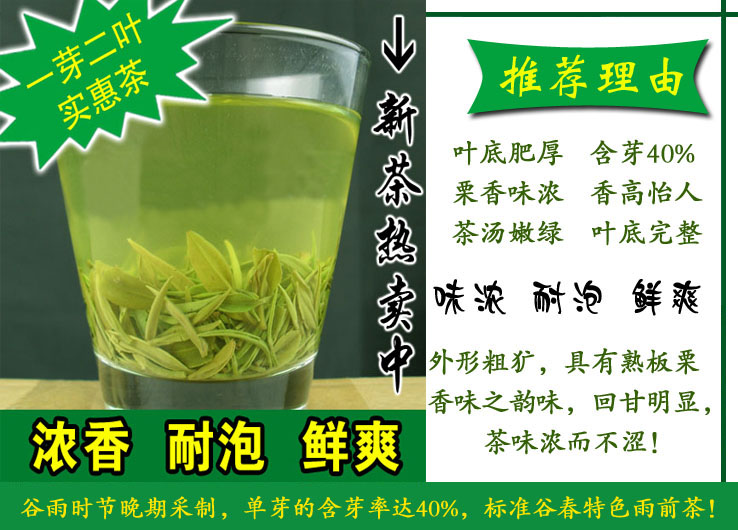 2023新茶信阳毛尖 雨前一芽二叶 新茶热卖 实惠耐泡口味重