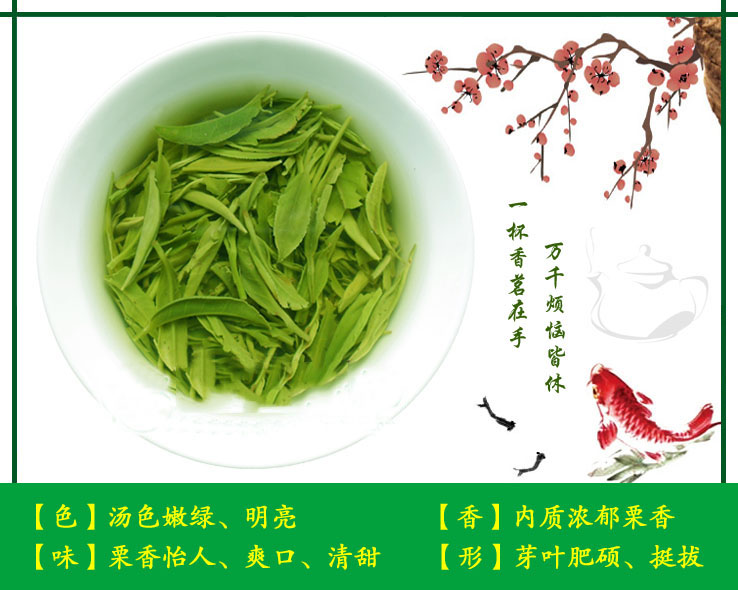 2023新茶信阳毛尖 雨前一芽二叶 新茶热卖 实惠耐泡口味重