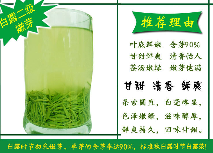 茶叶 浉河港|信阳毛尖 2022新茶【白露二级】绿茶 9月8日 秋茶