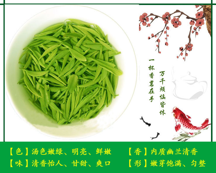 茶叶 浉河港|信阳毛尖 2022新茶【白露二级】绿茶 9月8日 秋茶