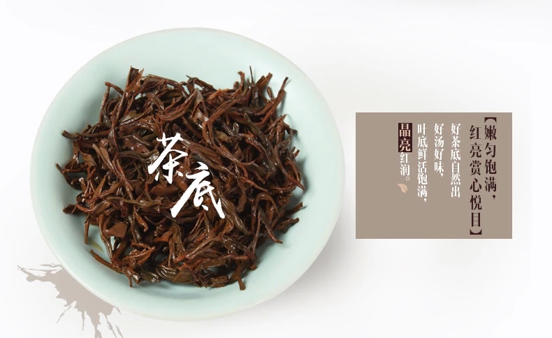 阿里云智慧茶庄园 浉河港信阳红茶2021新茶红茶三级500g装 实惠耐泡浓香