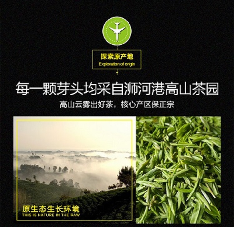 阿里云茶庄园·信阳毛尖2021新茶雨前一级手工茶浉河港传统手工工艺