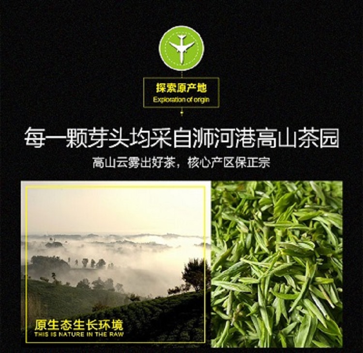 手工毛尖茶批发 信阳毛尖 2024新茶 雨前三级 浉河港原产地