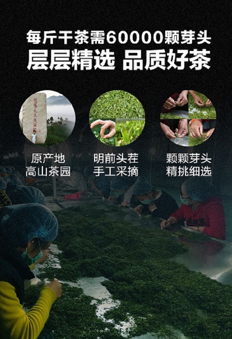 阿里云茶庄园·信阳毛尖2021新茶雨前一级手工茶浉河港传统手工工艺