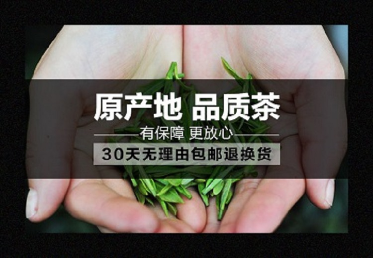2022年新茶叶手工茶 信阳毛尖 雨前特级春茶 浉河港绿茶 自产自销500克